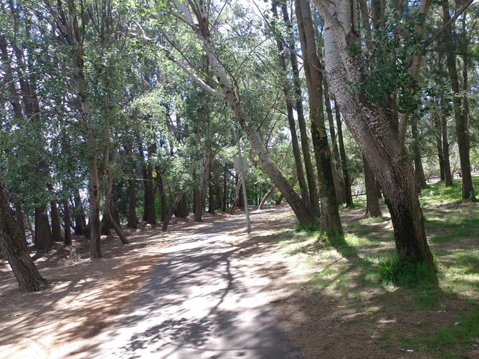 John Knight Memorial Park-Belconnen必去景点