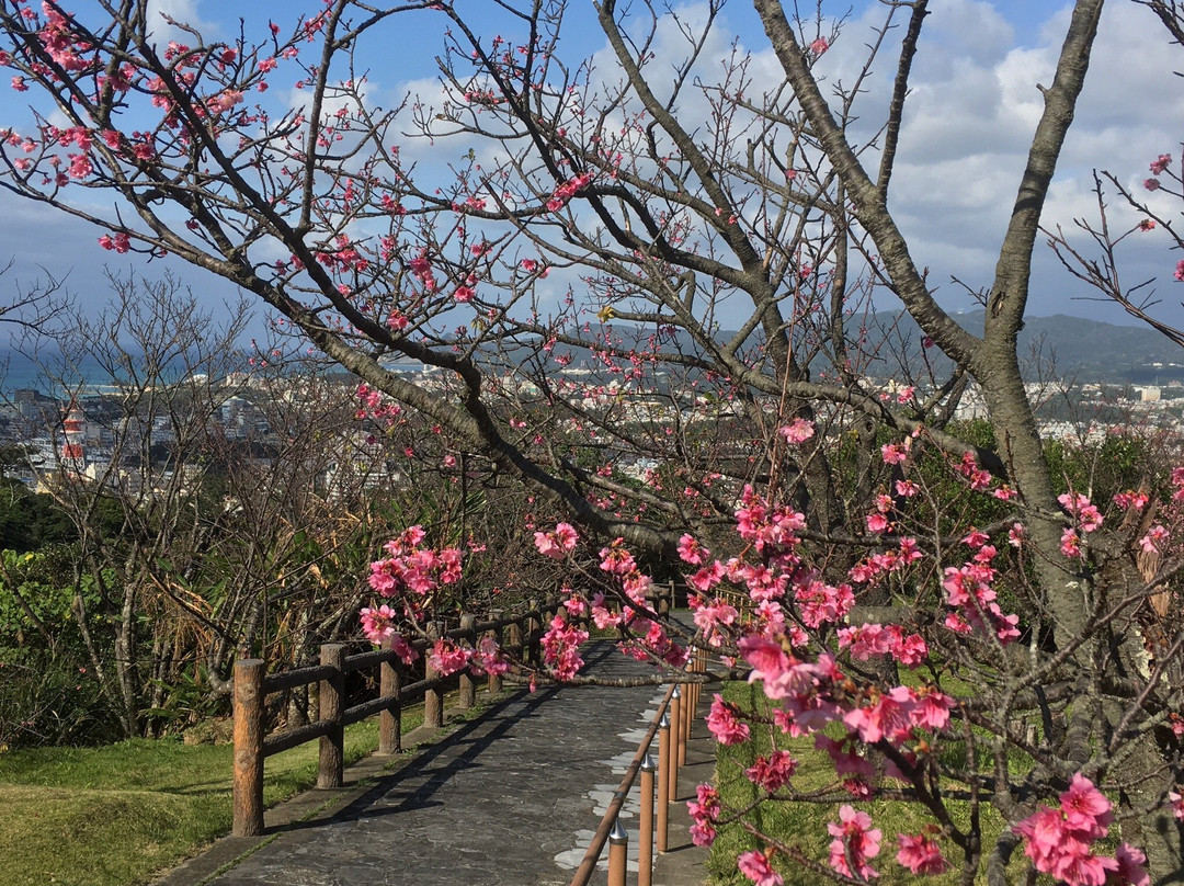 Nago Castle Historical Park-名护市必去景点