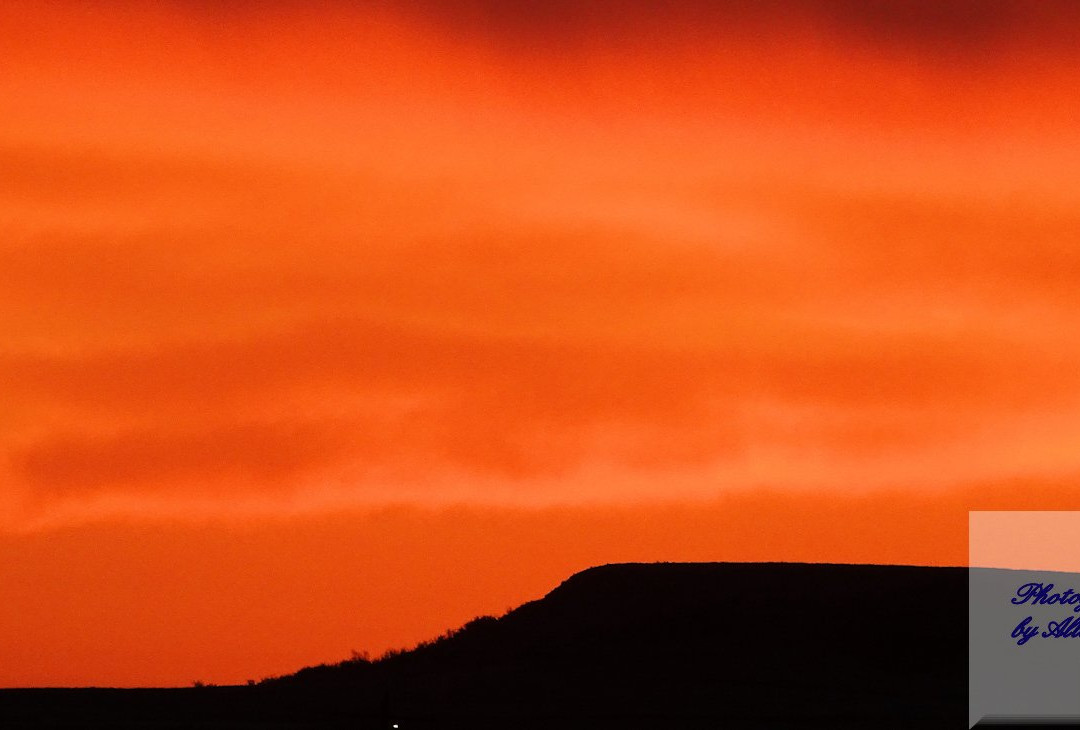 Teddy's Residential Suites主图