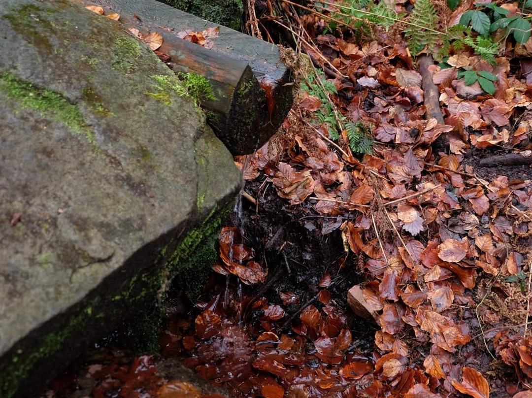 Quellheiligtum Heidenfelsen-Kindsbach必去景点