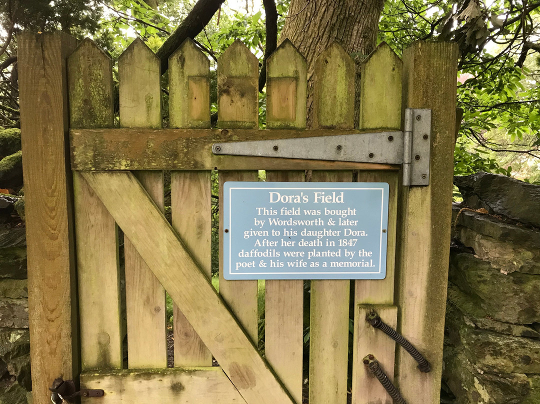 Dora's Field景点图片