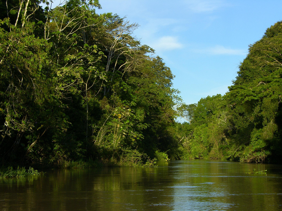 Johmer Expedition Tours-伊基托斯必去景点