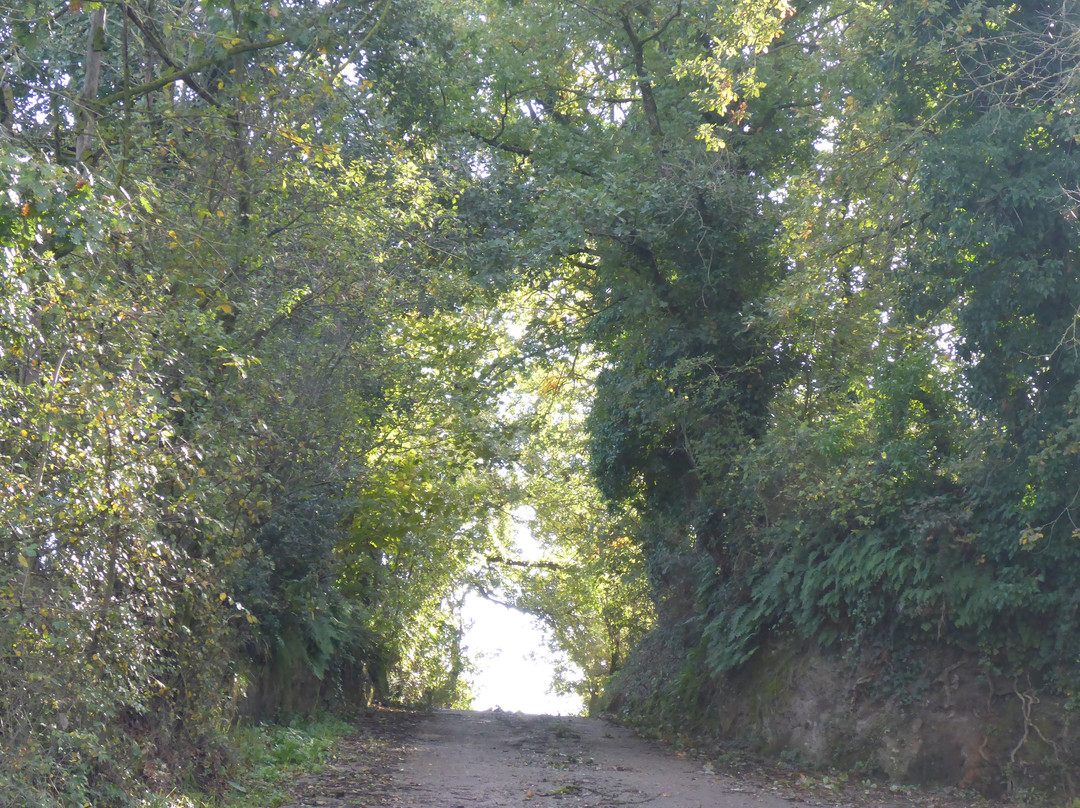 Villa Farfalla Bianca主图