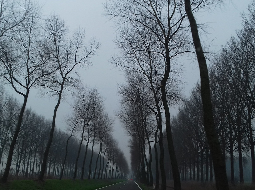 Hoeke Windmill景点图片