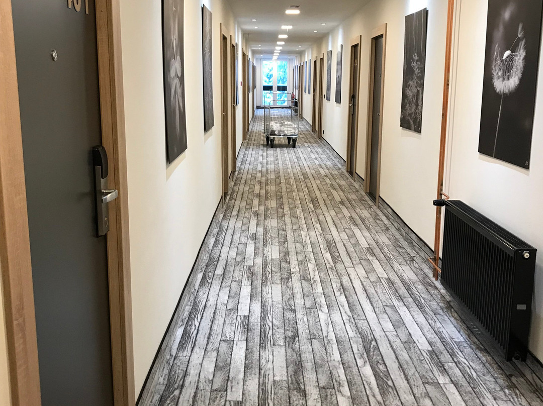 OREA Resort Horizont Sumava主图