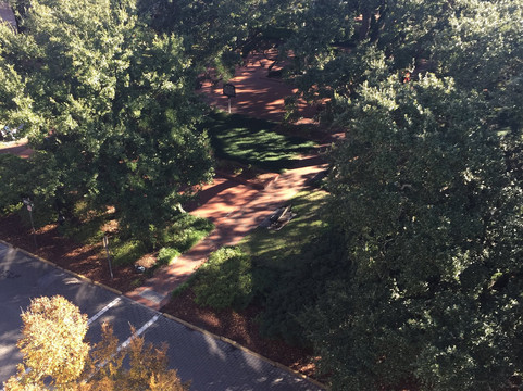 雷诺广场普兰特斯酒店主图