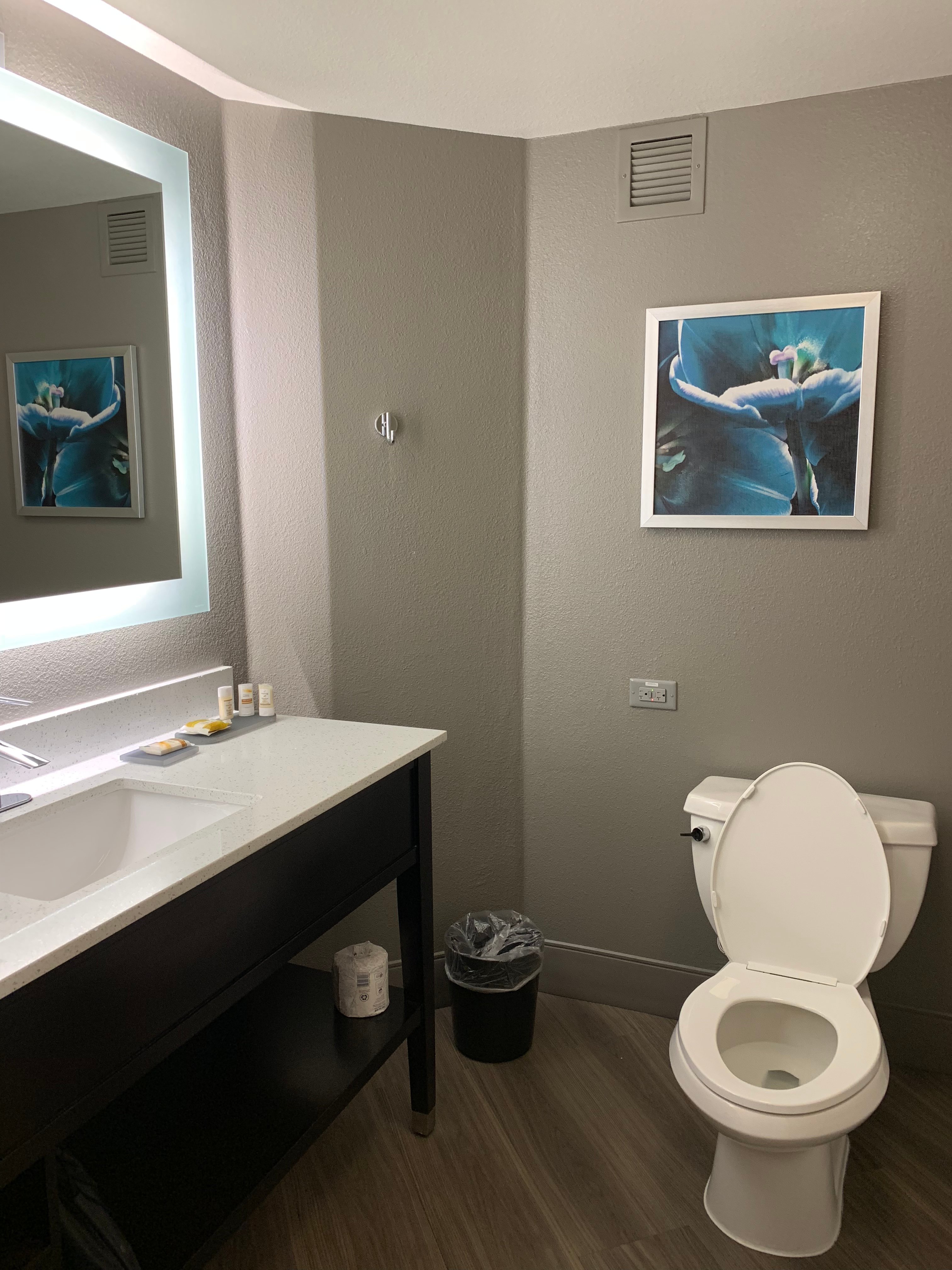 La Quinta Inn & Suites by Wyndham Orlando UCF-浴室