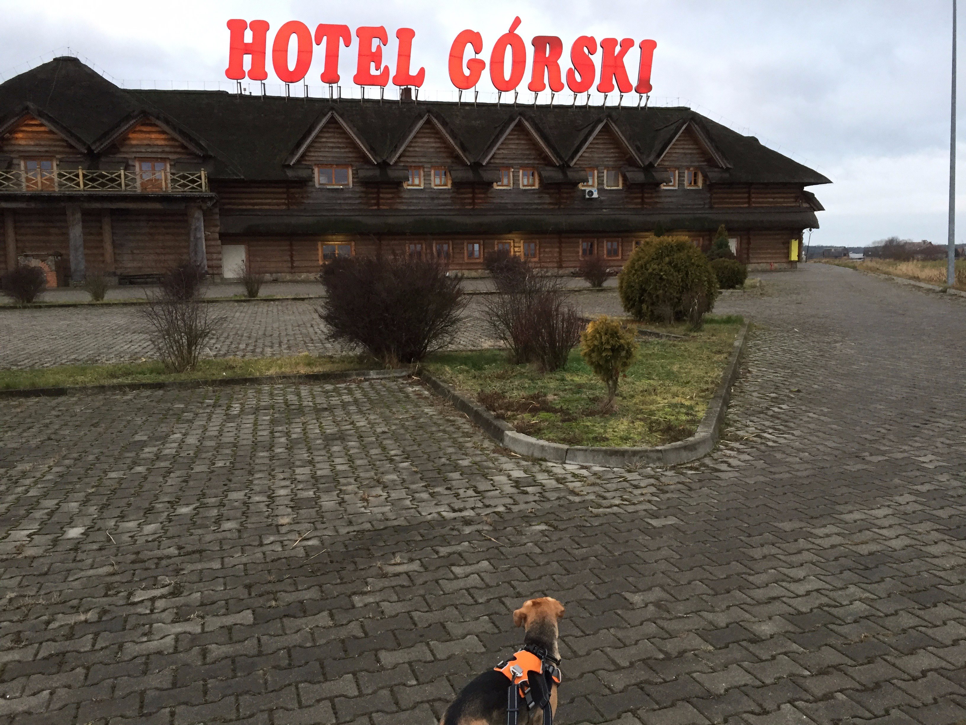 Hotel Gorski-浴室