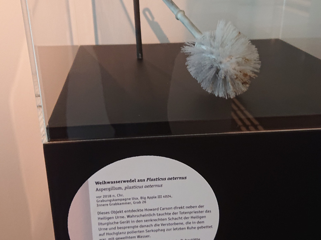 Roemer- und Pelizaeus-Museum Hildesheim景点图片
