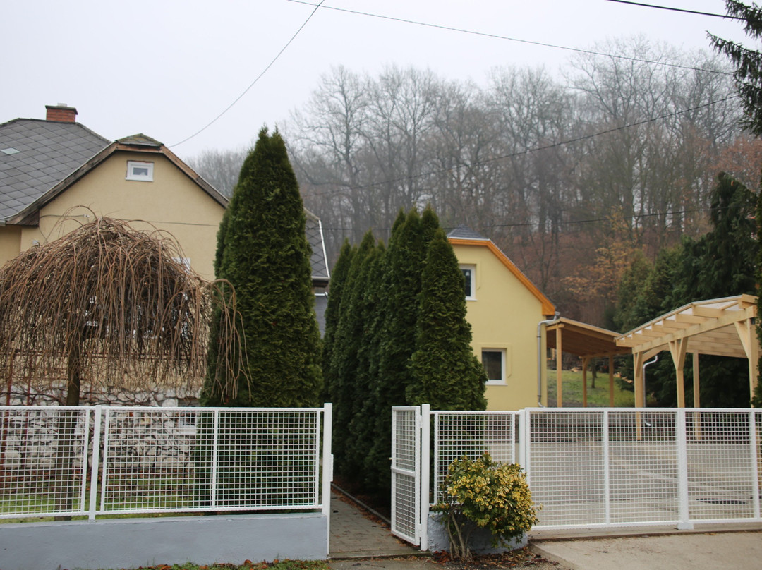 Kiskoma Guesthouse主图