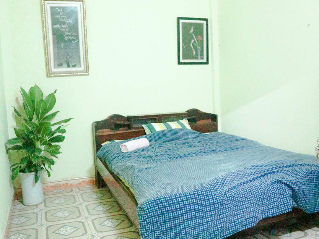 Aloe Vera Homestay