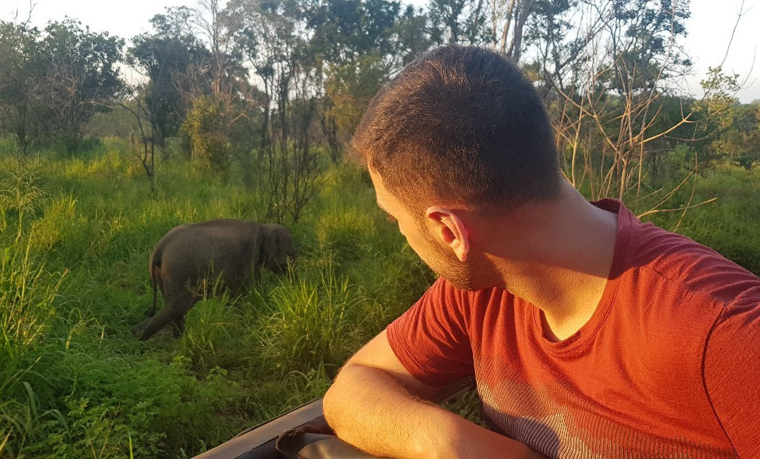 Budget Taxi in Sri Lanka-康提必去景点