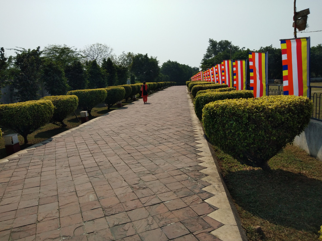 Dragon Palace Buddhist Temple景点图片