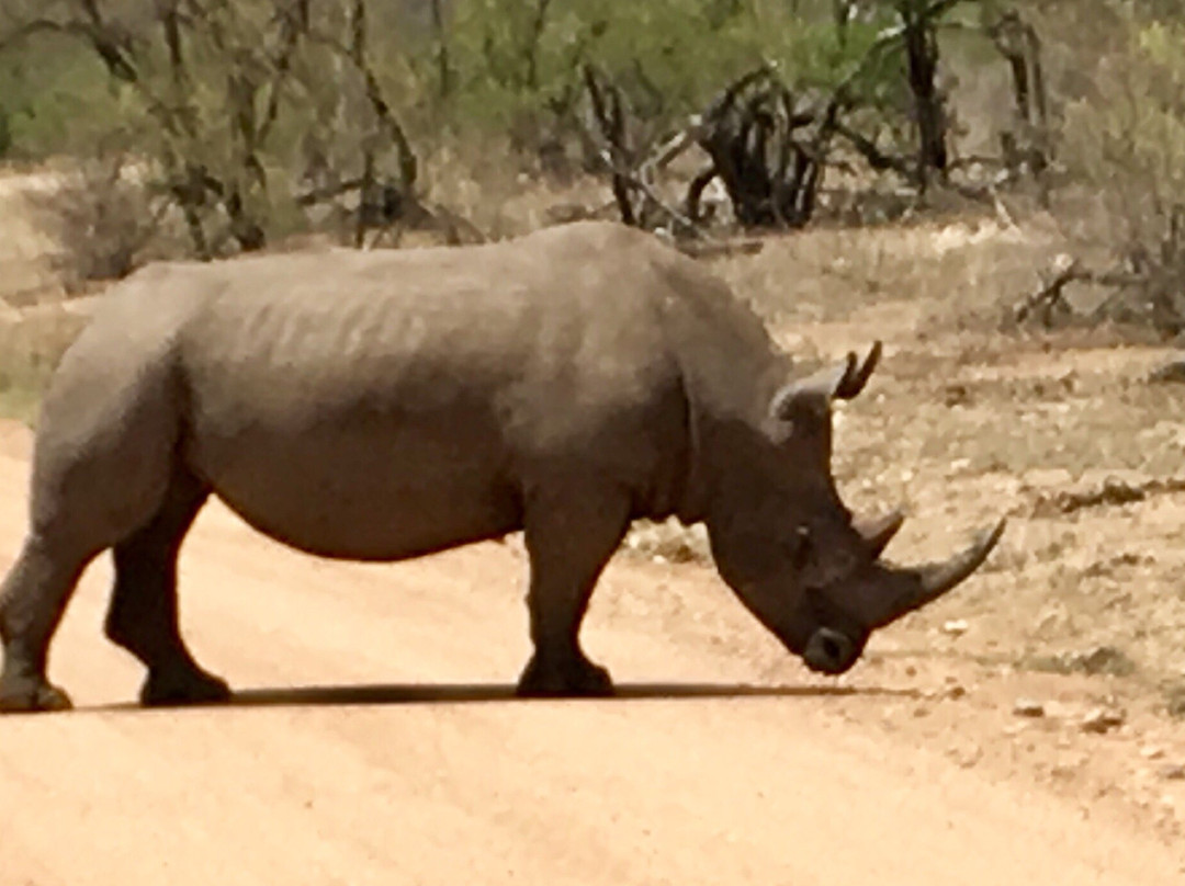 Panorama Pedals-参宁必去景点