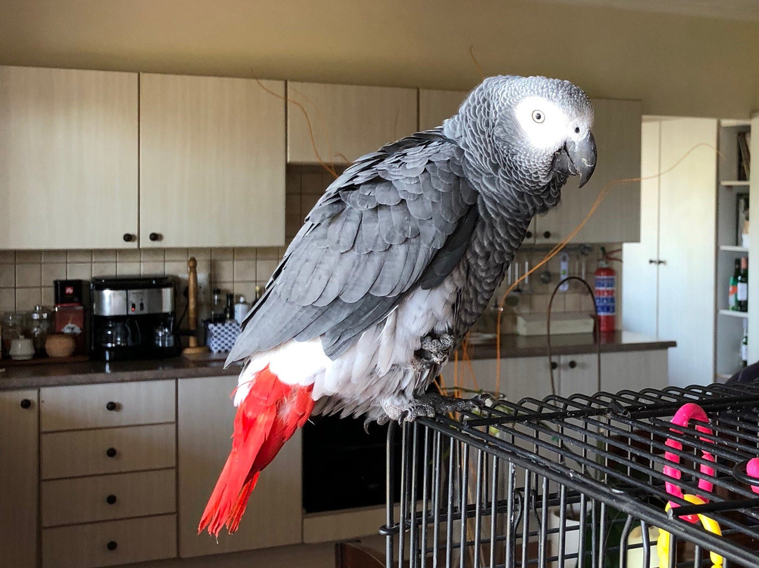 内尔斯住宿加早餐酒店主图