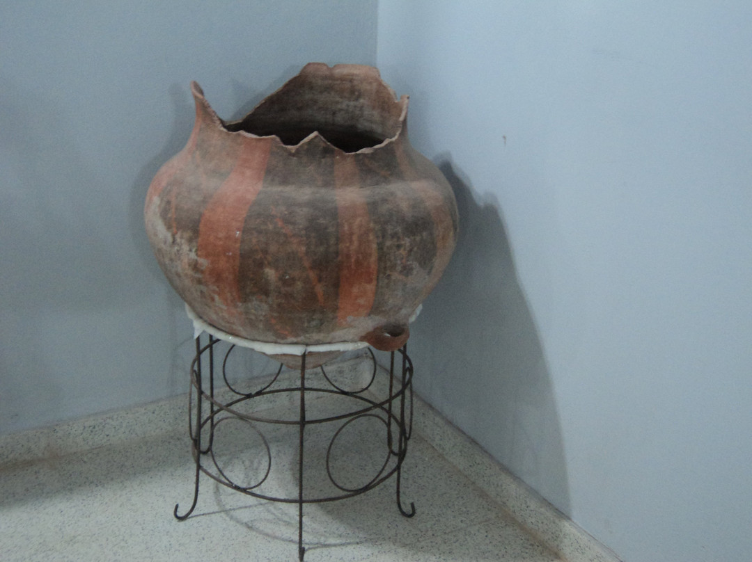 Museo del Hombre景点图片