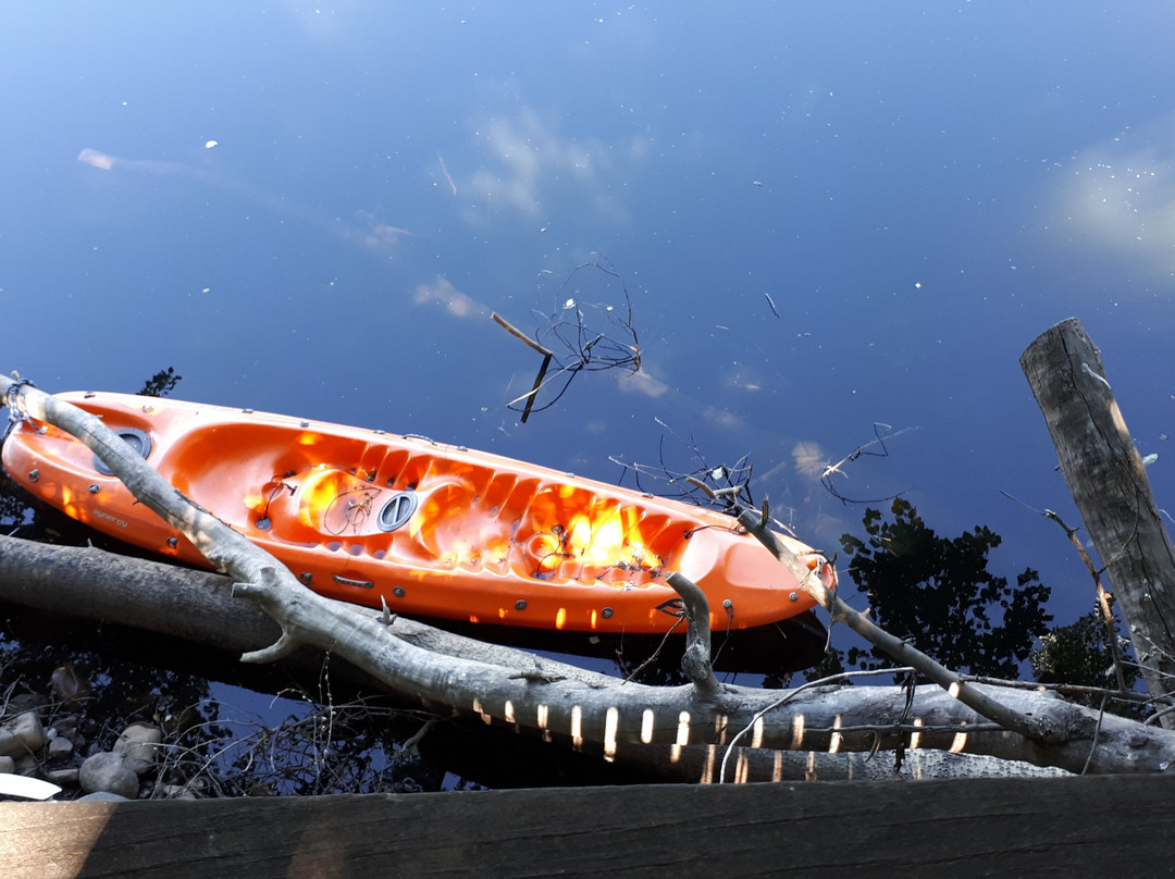 Kardouw Country Retreat - Tree Tops主图