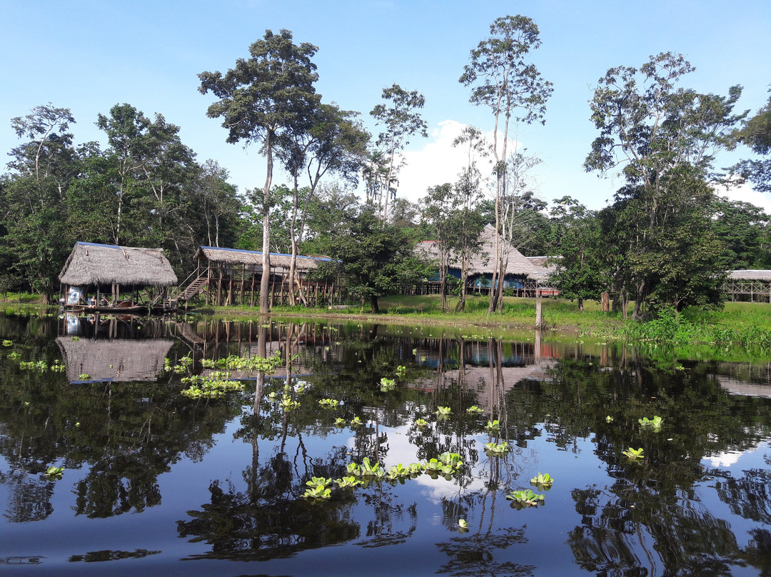 Curassow Amazon Lodge景点图片