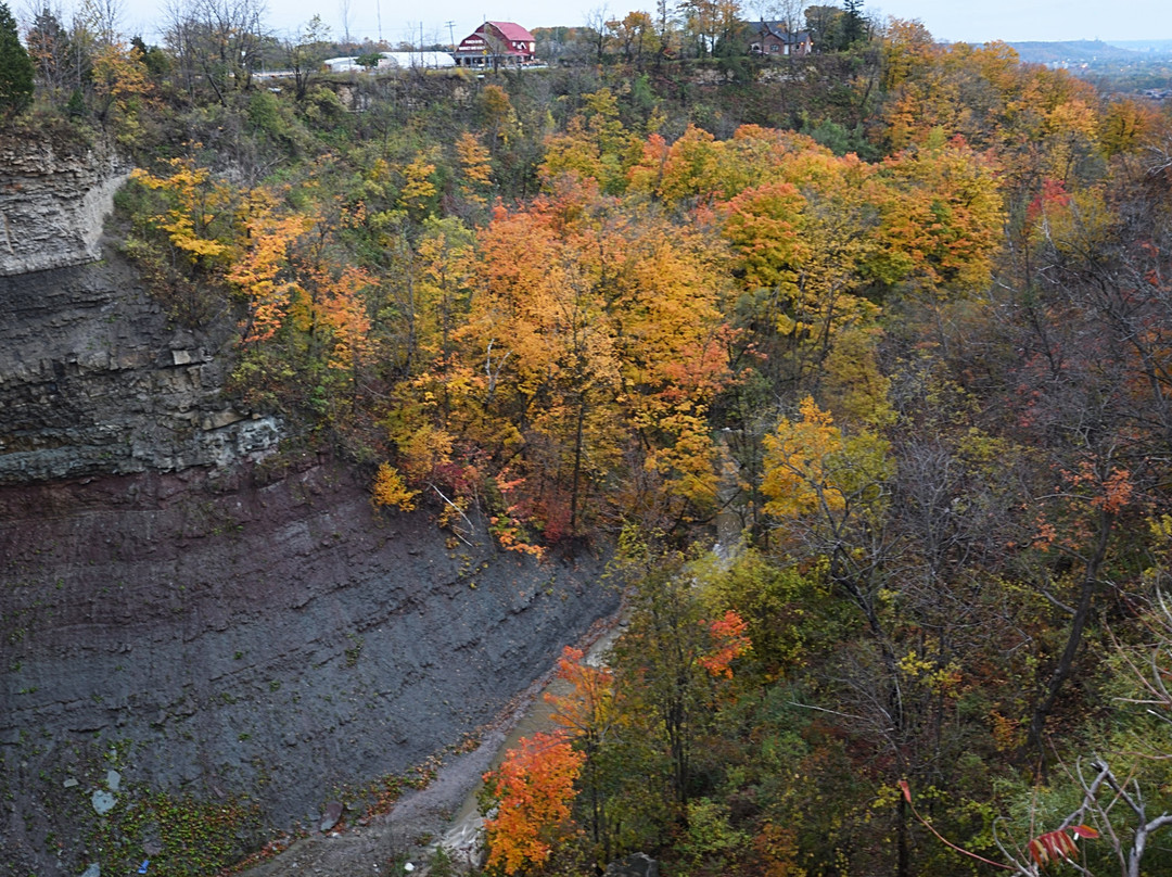 Devil's Punchbowl Conservation Area景点图片