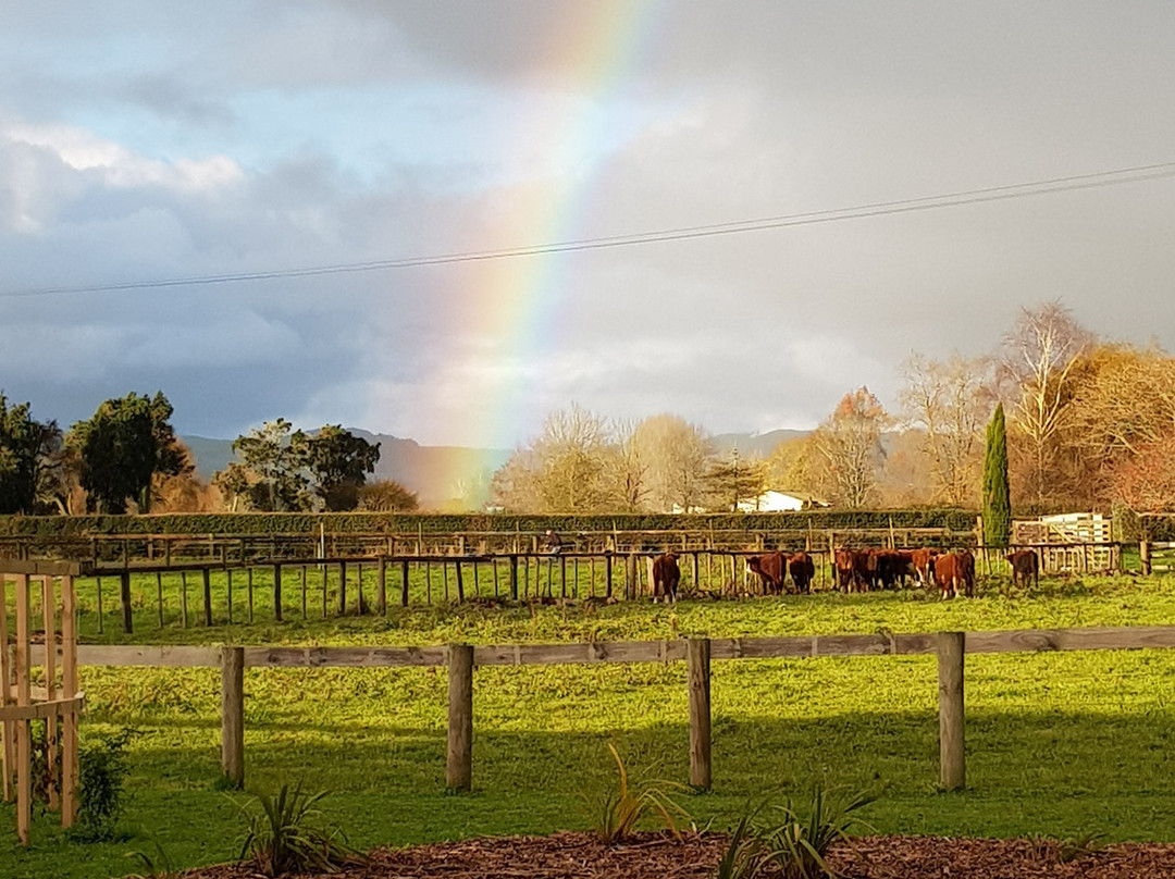 Bruntwood Lodge主图