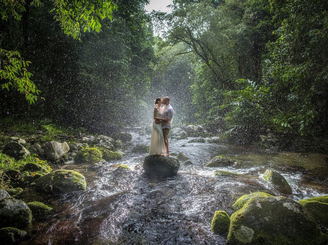 Misty Mountains Tropical Rainforest Retreat主图