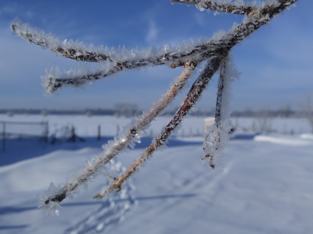 Saint-Roch-de-Richelieu旅游攻略图片