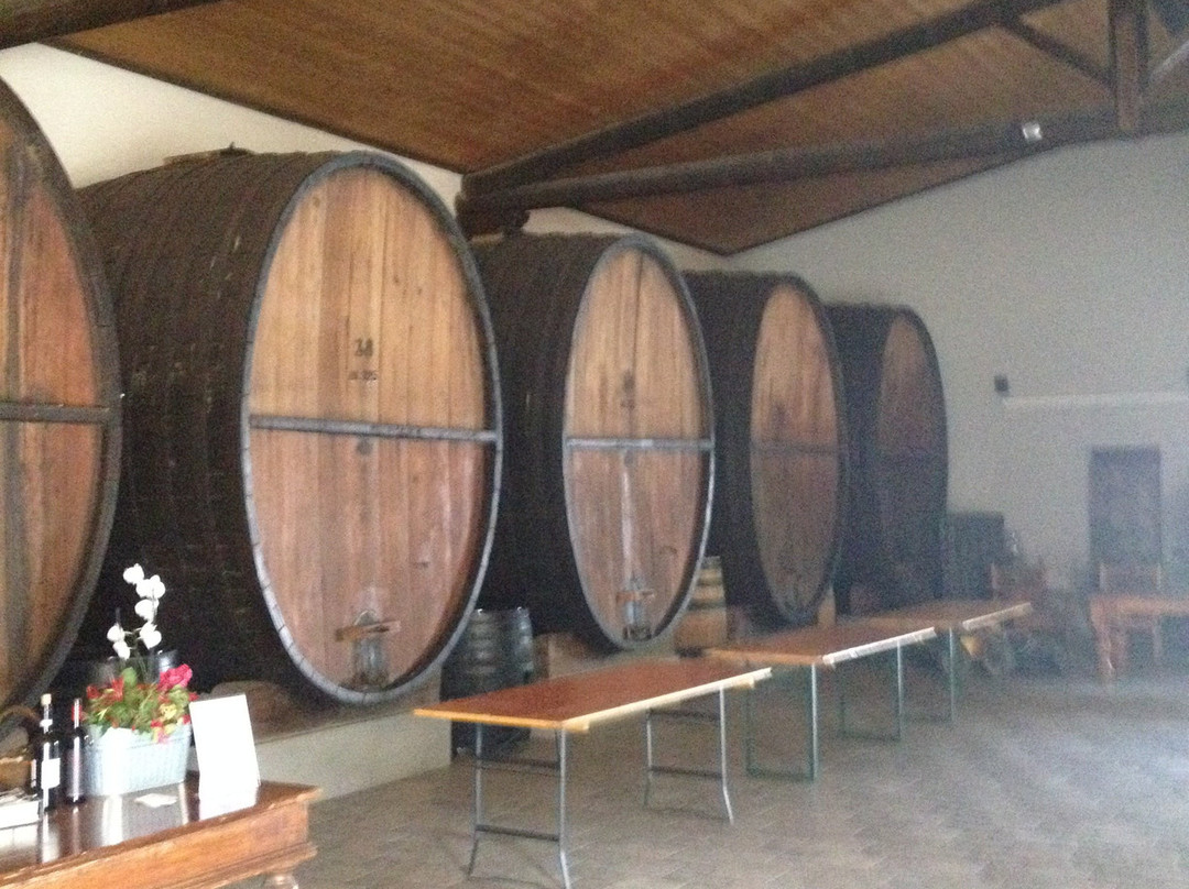 Tenuta Scarpa Colombi Country Inn主图