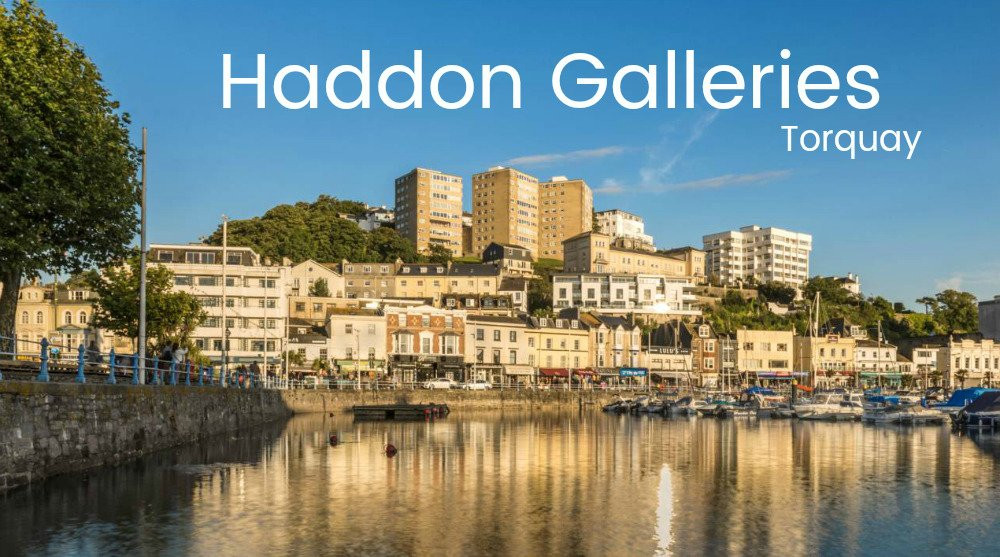Haddon Galleries-托基必去景点