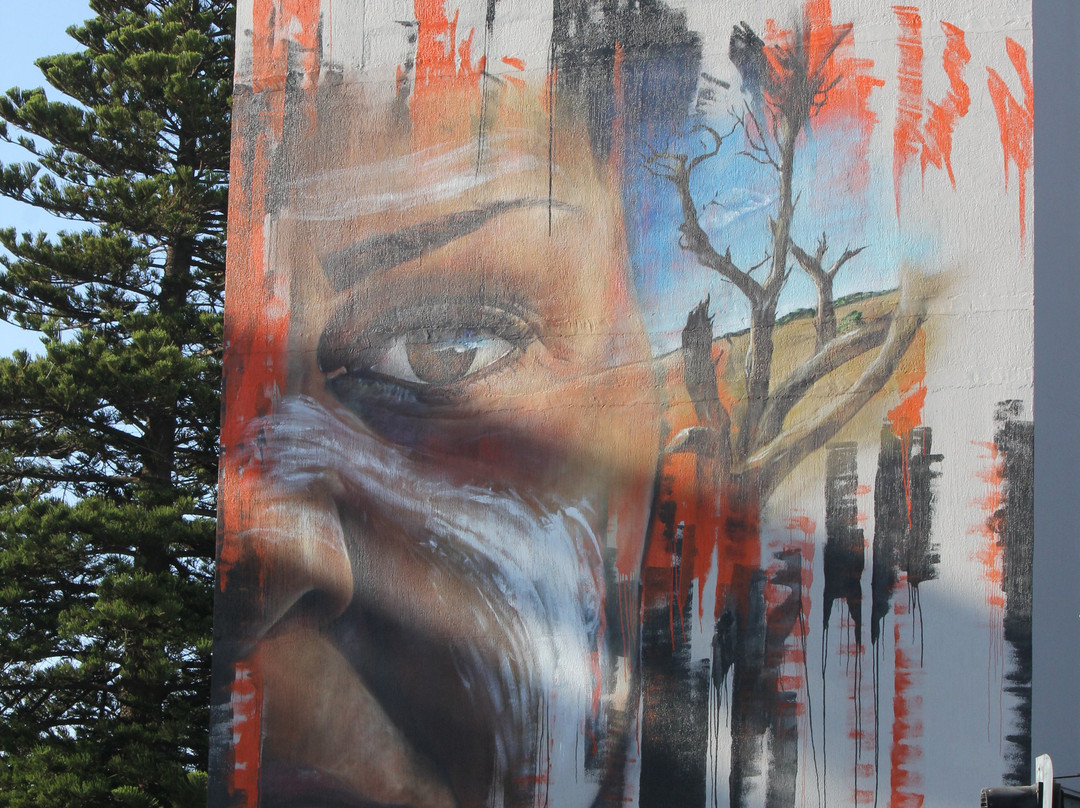 Ngatanwarr Mural-瓦南布尔必去景点