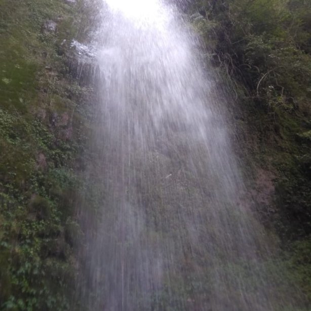 锡塔普尔乡村度假村-官方