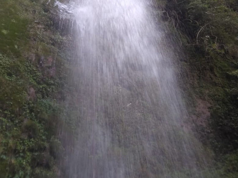 锡塔普尔乡村度假村主图