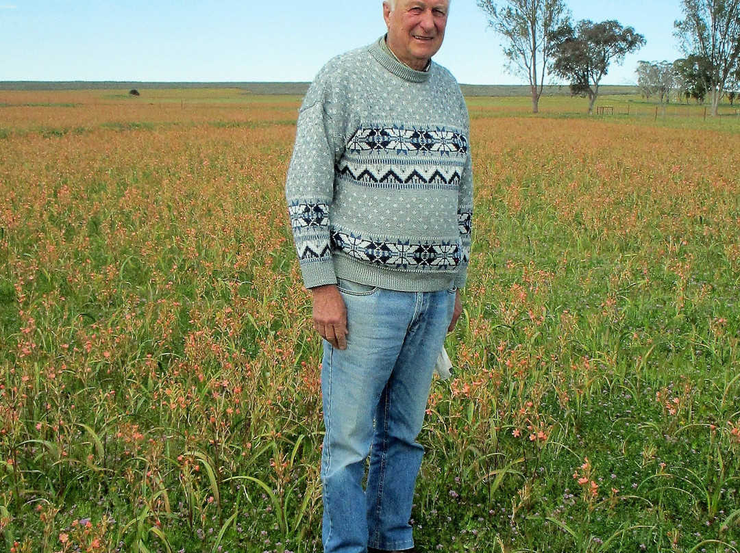 Hantam National Botanical Garden-Nieuwoudtville必去景点