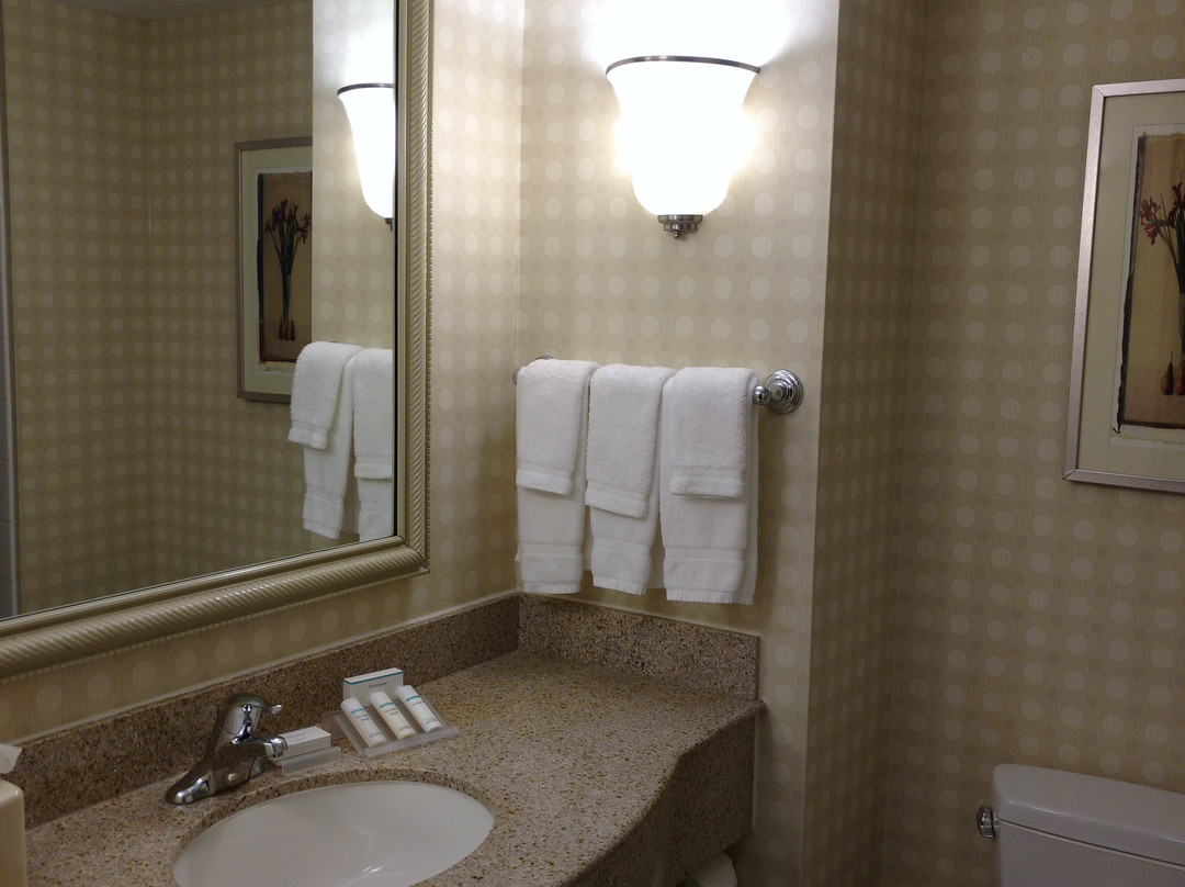 泰森斯角希尔顿花园旅馆主图