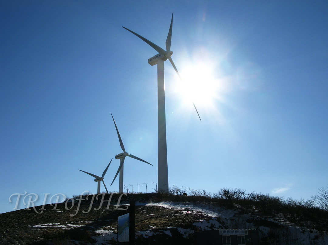 太白市旅游景点-Maebongsan Wind Power Plant Complex