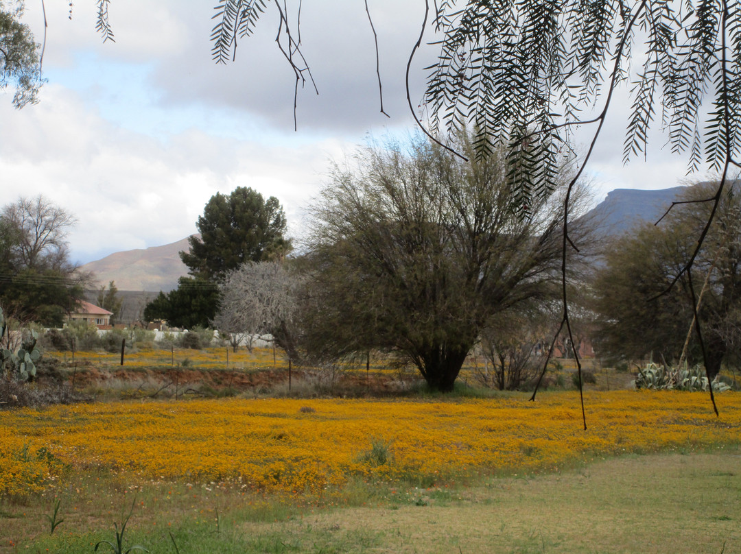 Tarantula Guest House主图