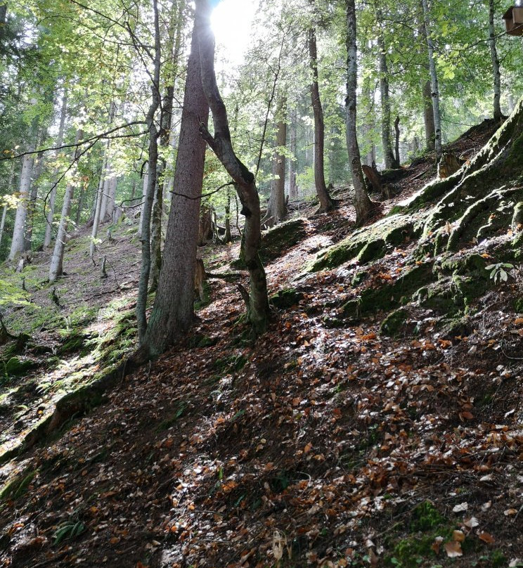 Zwergenweg景点图片