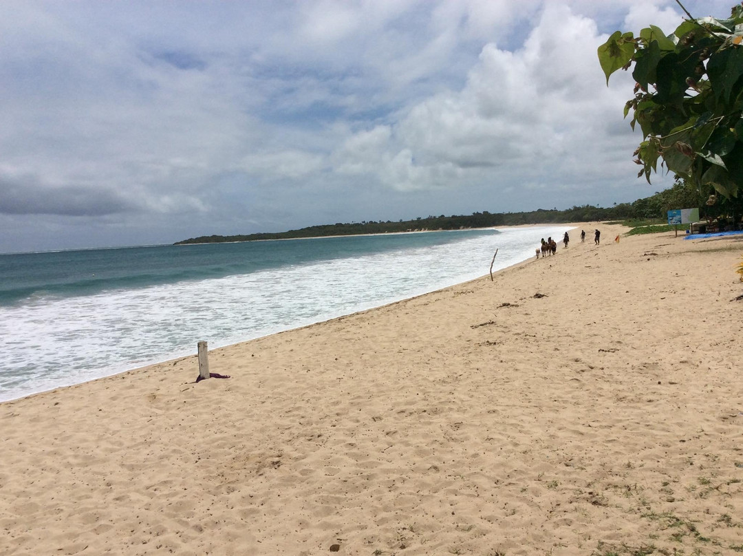 Transific Tours-纳迪市必去景点