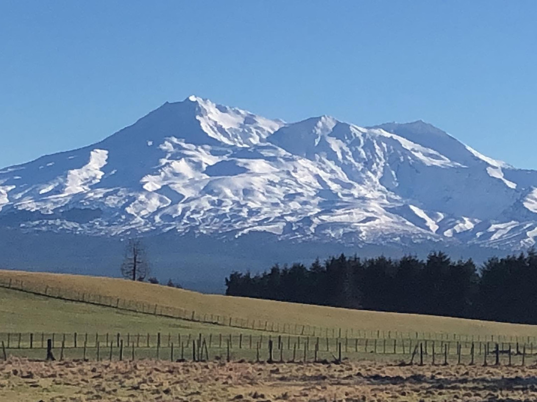 Waiouru Welcome Inn主图