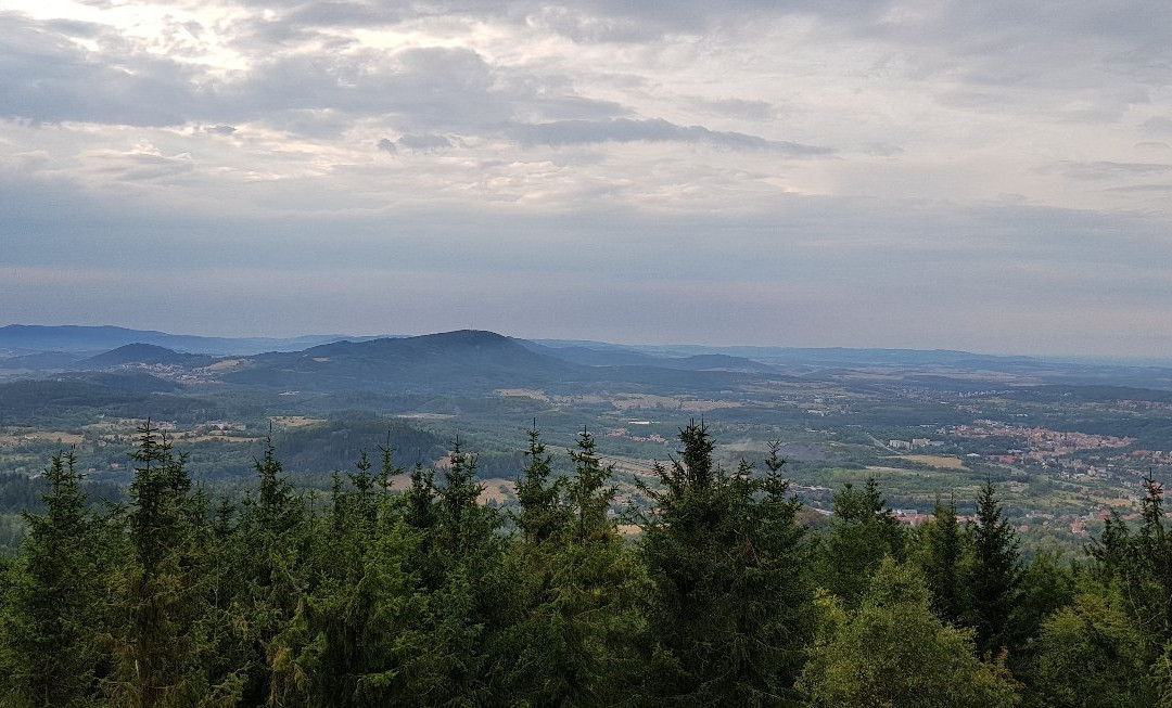 Wieza widokowa na Borowej景点图片