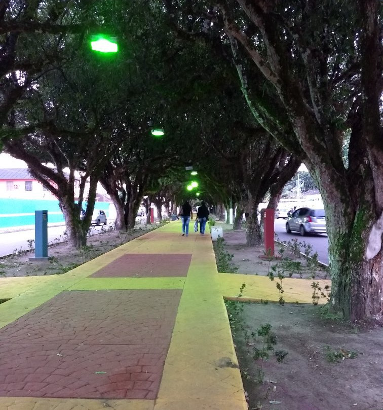 Túnel Verde de Itacoatiara景点图片