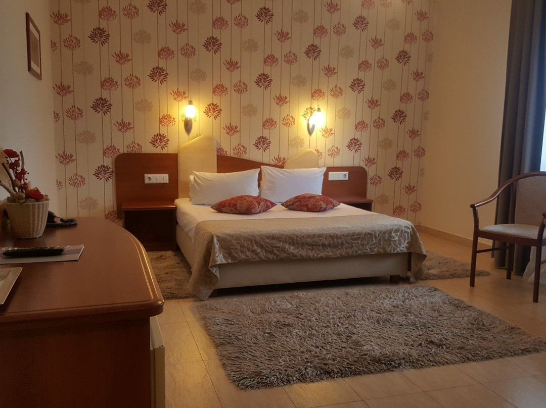Hotel Confort主图