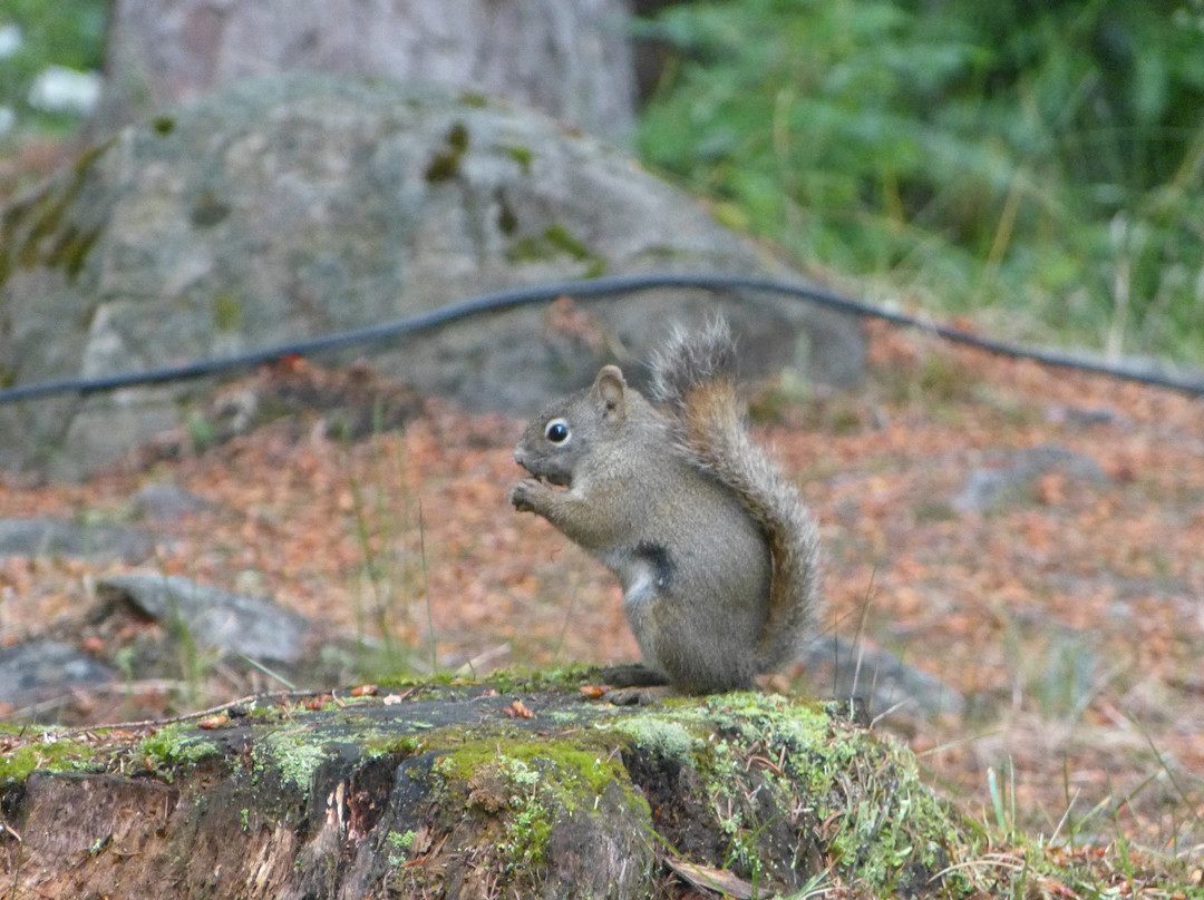 山区河流旅舍主图