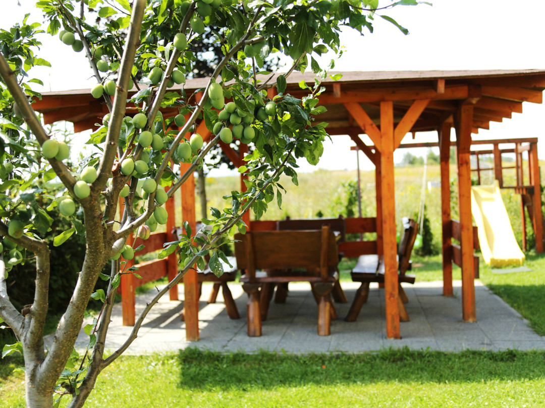 Zamutov酒店住宿-Villa Slnecnica