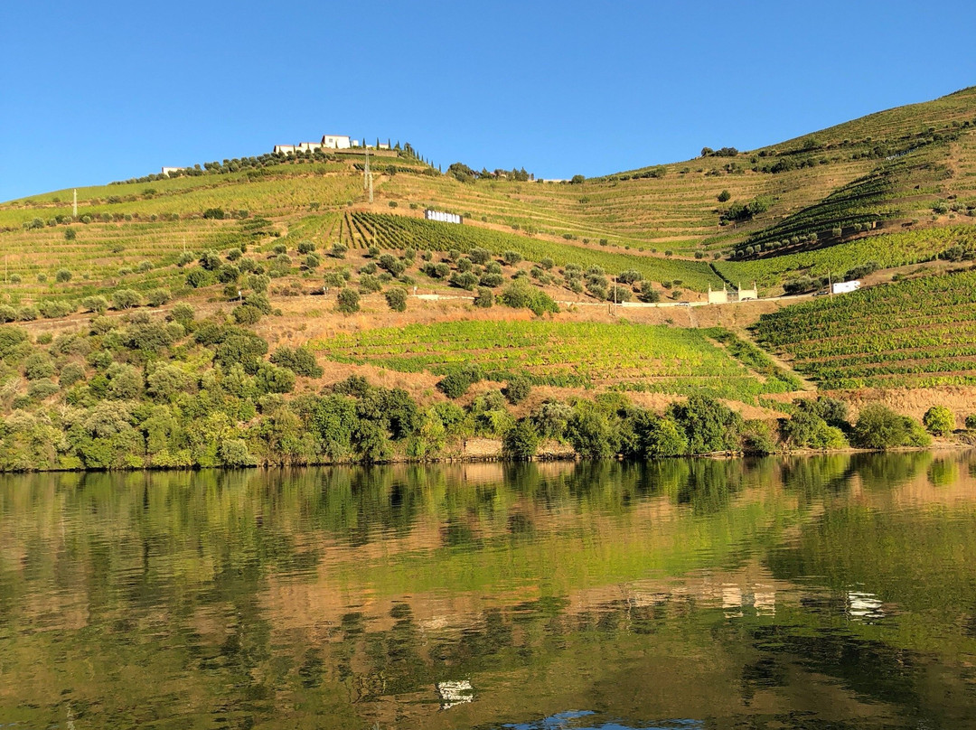 The Douro Valley景点图片