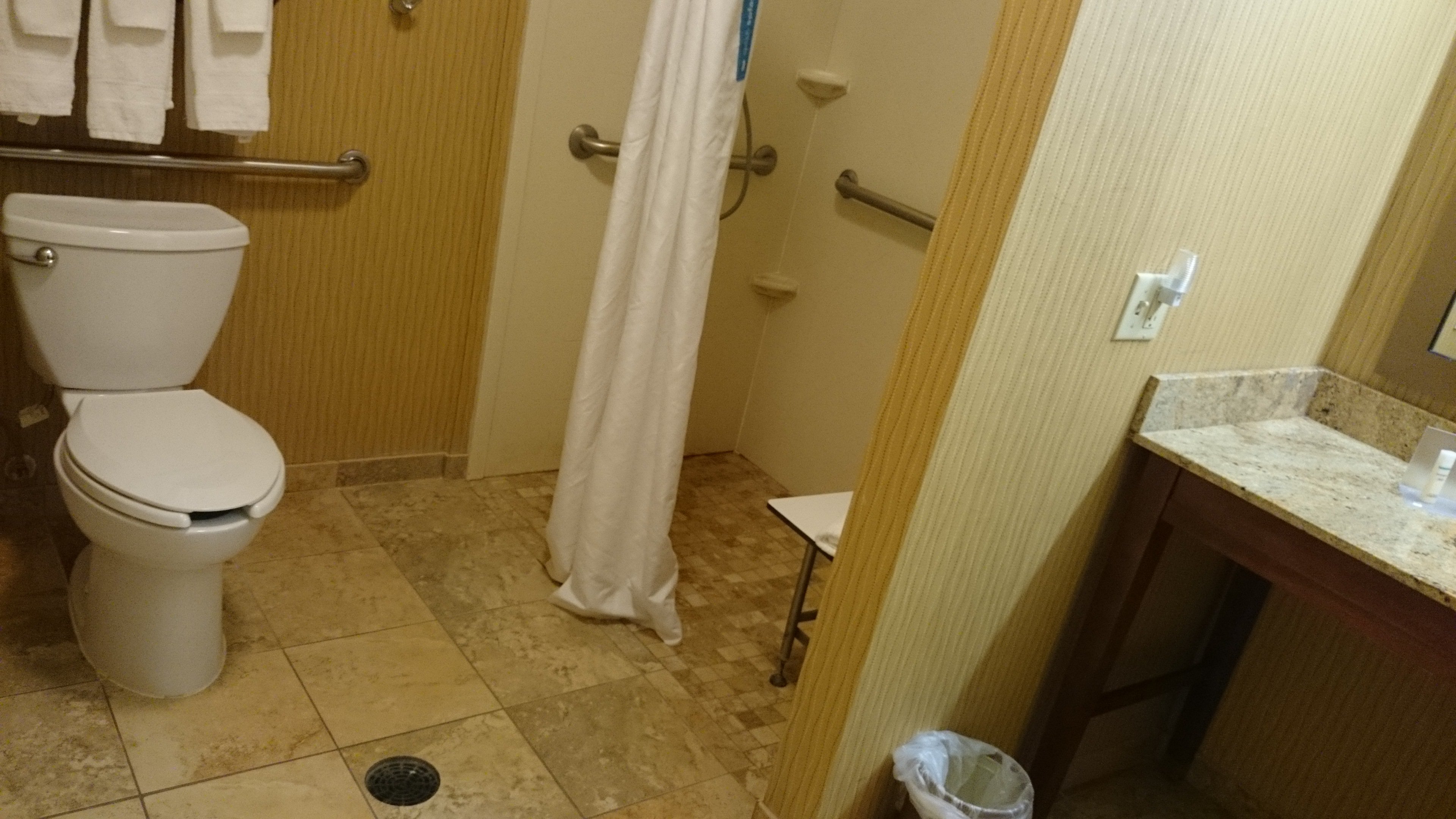 Hampton Inn & Suites Cleveland-southeast/streetsboro-浴室
