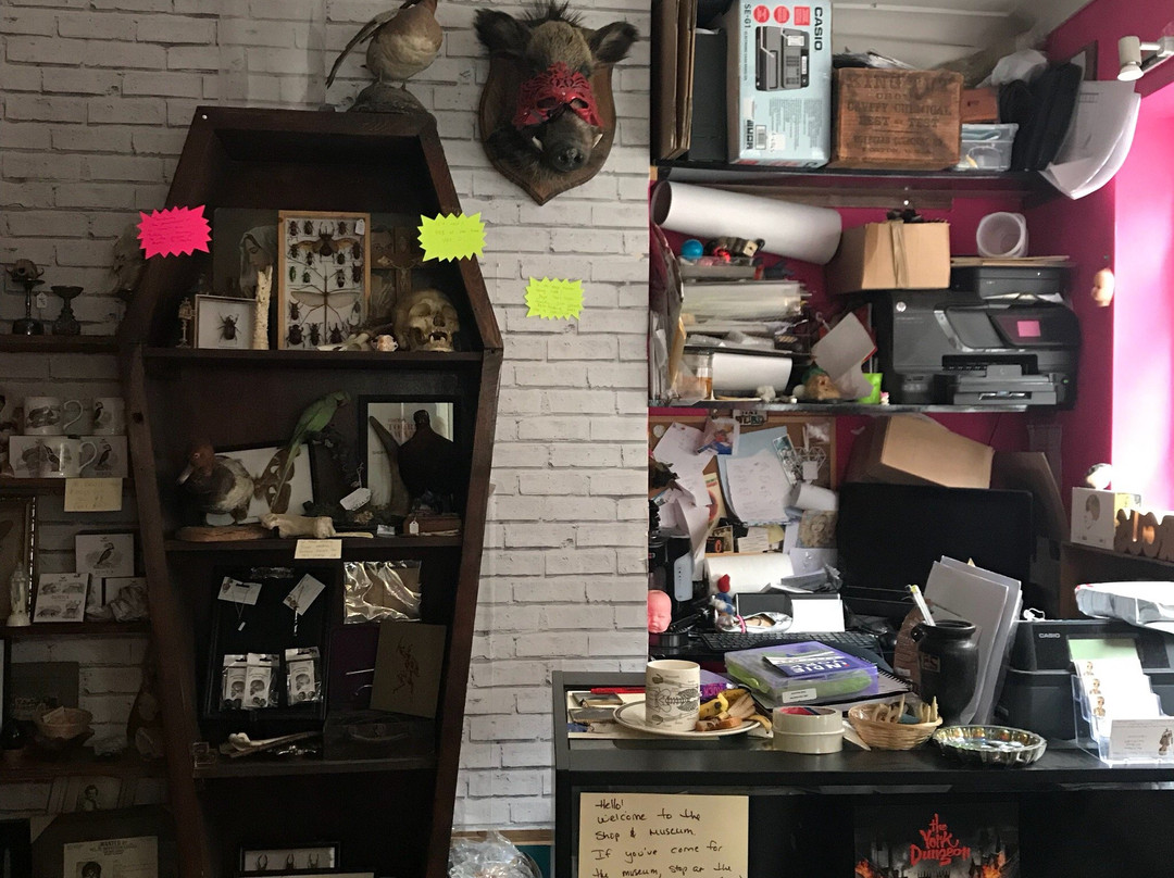 Pandora's Box Antiques and Oddities-约克必去景点