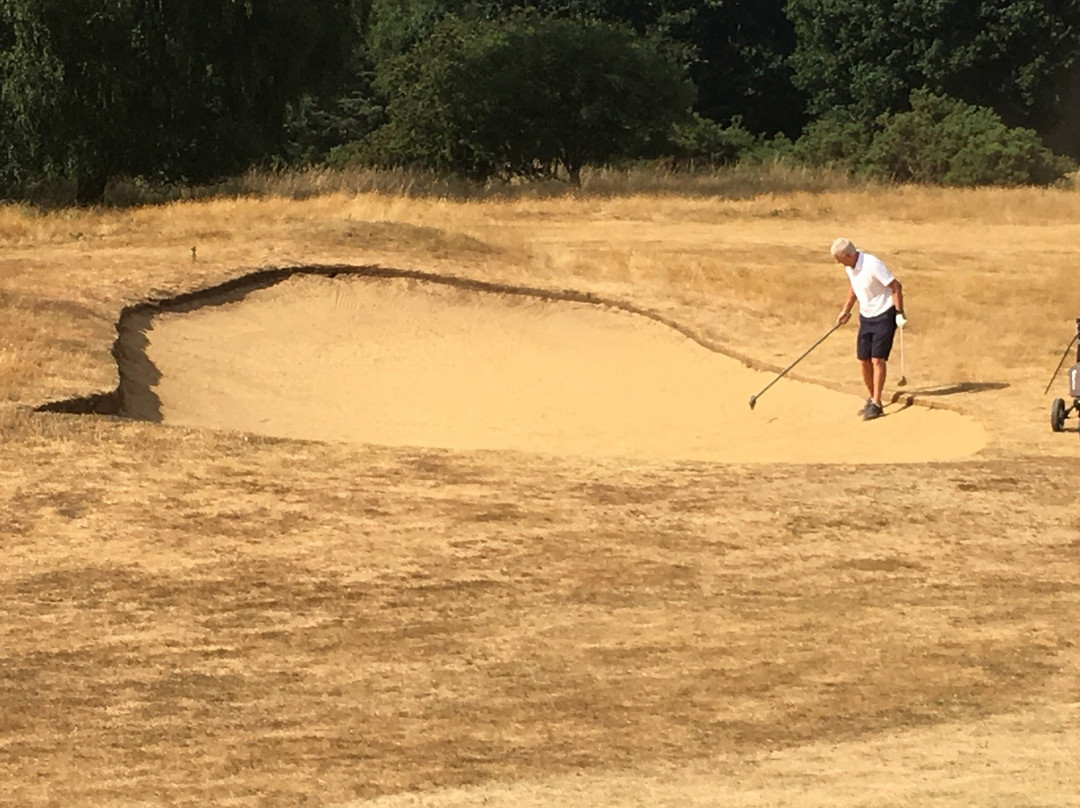 Frilford Heath Golf Club景点图片