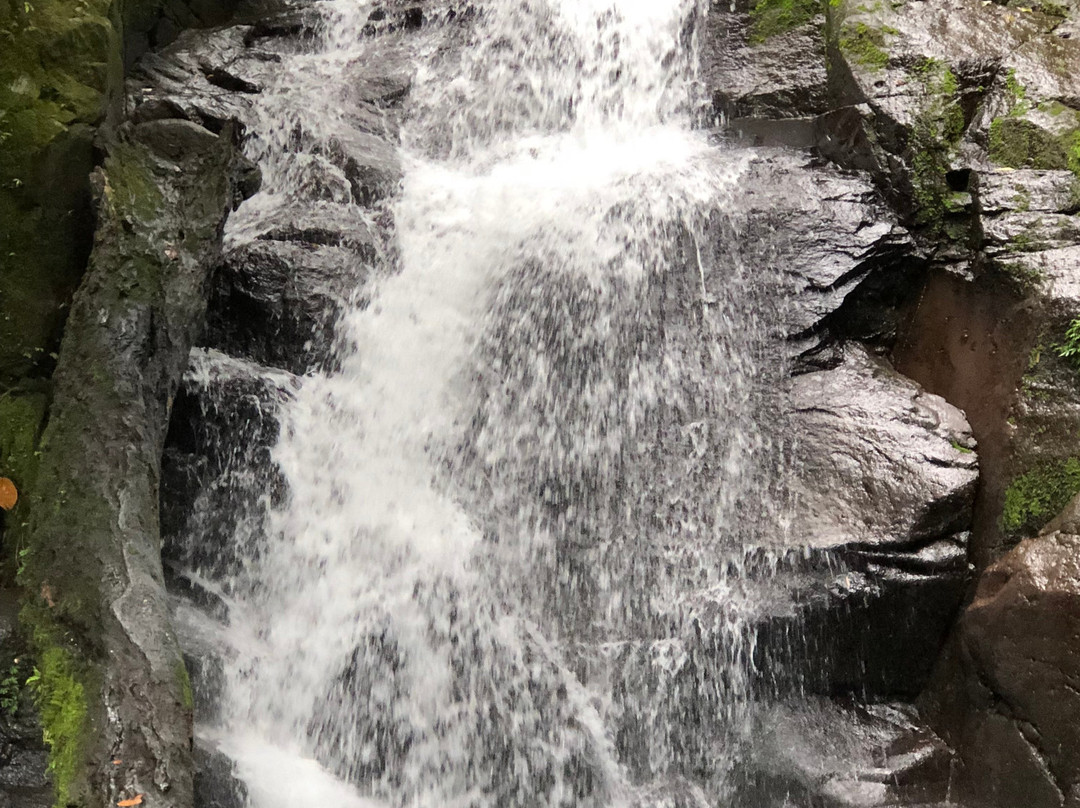 Consocep Falls景点图片