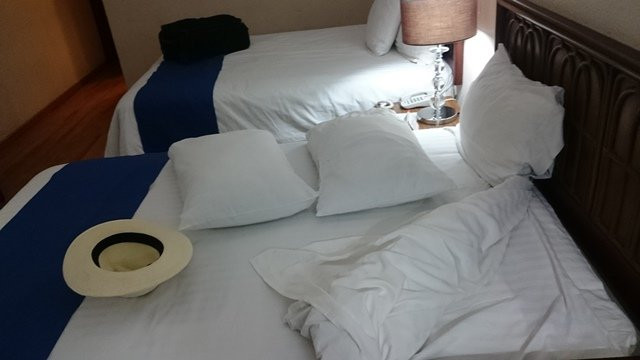 Hotel Posada de Tampico主图