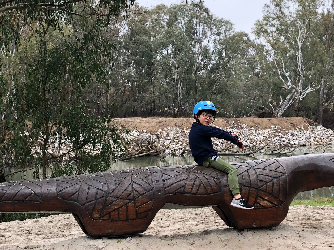 Yindyamarra Sculpture Walk-奥尔伯里必去景点
